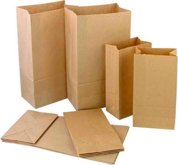 LUR Pack SO4 Pack of 50 Grocery Bags