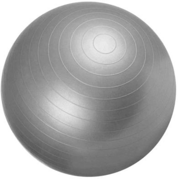 top sale trader Professional Silver Yoga Exercise Gym Ball - 55cm 55 cm Gym Ball