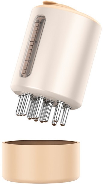 Loznron Medicated comb with roller ball, scalp medicated hair growth essence guide comb