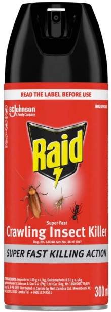 Raid Crawling Insect Killer Aerosol
