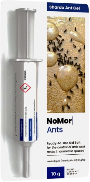 Nomor Ants Gel