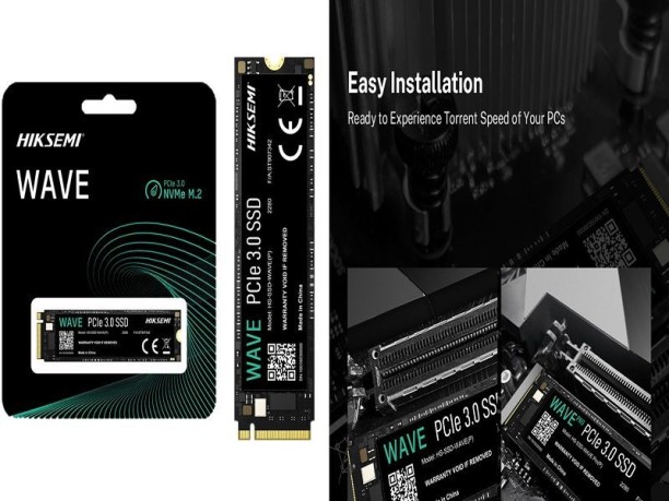 Hiksemi 256 GB SSD (HS-SSD-E1000(STD)/256G/22)