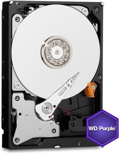 WD 10 TB HDD (W-D Purple 10TB Surveillance Hard Disk Drive)