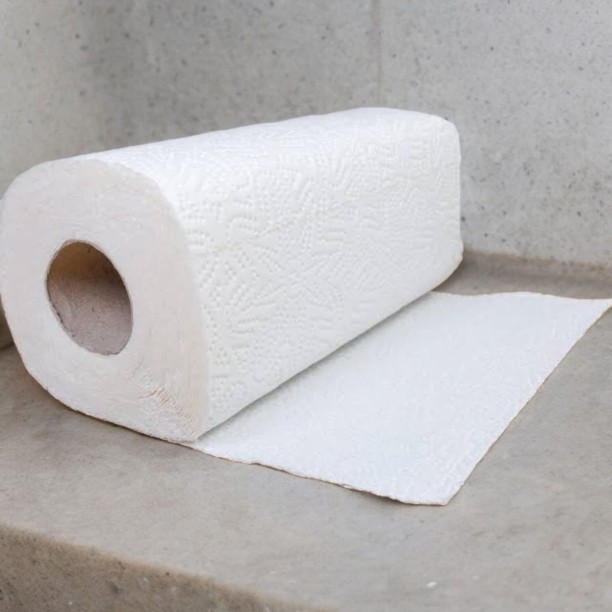 SMTE Paper Towel-Kitchen Towel-12Rolls