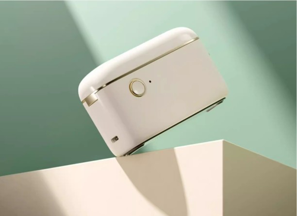 Niimbot H1S Label Stamping Machine