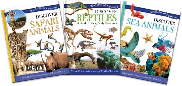 Wonders of Learning Discover Books Flashcards & Workbooks