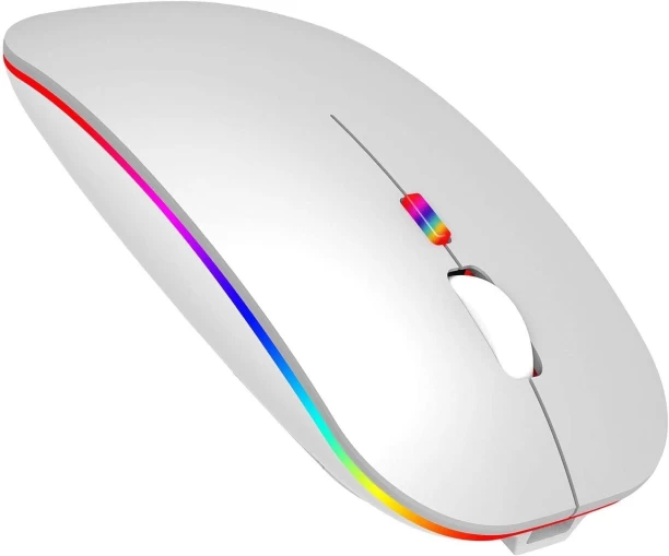CTDW Dual Rechargeable Bluetooth Mouse Wireless