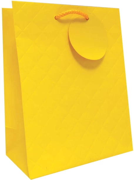 Creative Stationery Medium Luxury Gift Bag Each Solid Paper Party Bag