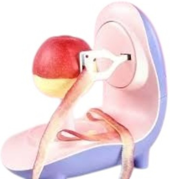 FRUIT PEELER PEELER-SHOP-G76 Straight Peeler