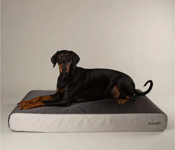 Armour Dillo Anti-Chew Dog Bed XL Pet Bed