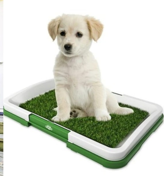 HOUSE TO HOME PP M Pet Bed