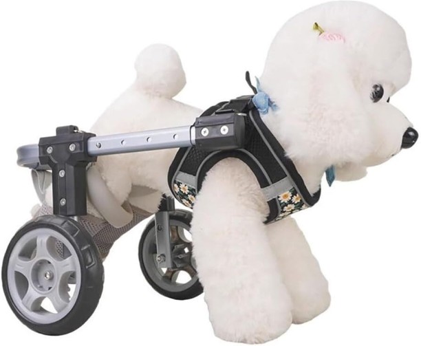 Spark Adjustable Dog Wheelchair M size Dog Head Collar