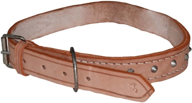 Grants Heavy Duty Collar, No 34 Dog Leash