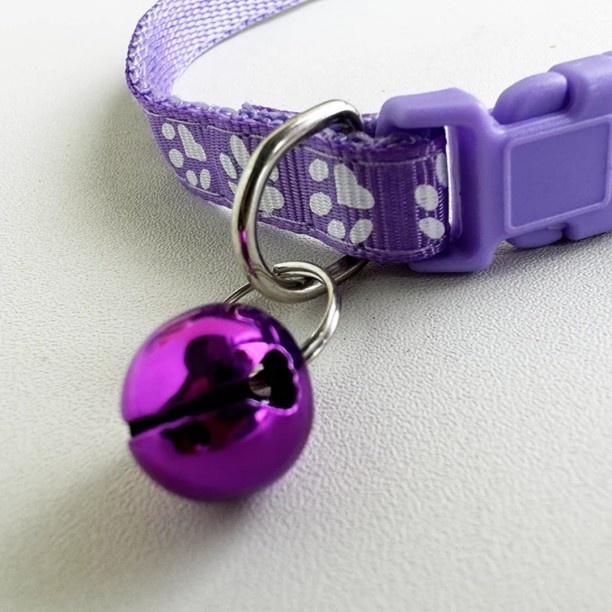 GF 5 piece collar Cat Everyday Collar