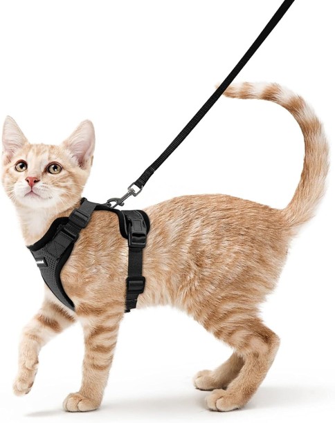 marevic Cat Small dog leaves harness kitten adjustable black xs ， European cat, maine coon, Persian, ties on it with leash Cat Harness & Leash