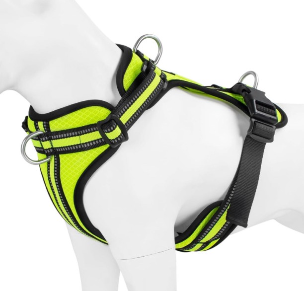 spark Dog Harness Medium Sized, Pet Vest with Front Clip, Adjustable Puppy Harness Dog Harness & Leash