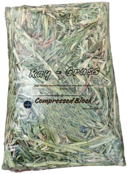x3pets Rye Grass 1 Pack Compressed Block 1 g Dry Adult Guinea Pig Food