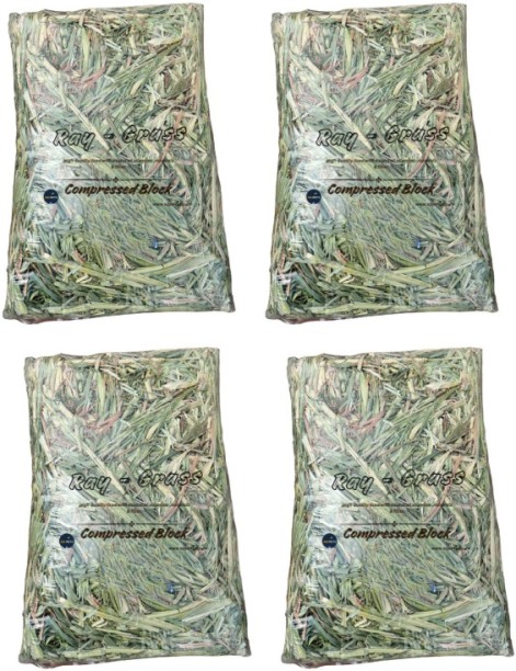 x3pets Rye Grass 4P 4 x 2 kg Dry Adult Guinea Pig Food