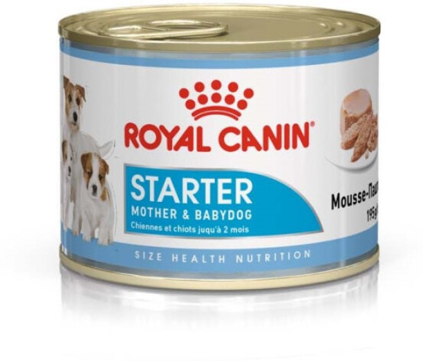 Royal Canin Starter Mother & Babydog Mousse 12 x 2340 g Wet Young Puppy Food