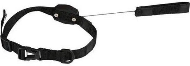 Perfect Dealz VCG4545 18 cm Dog & Cat Strap Leash