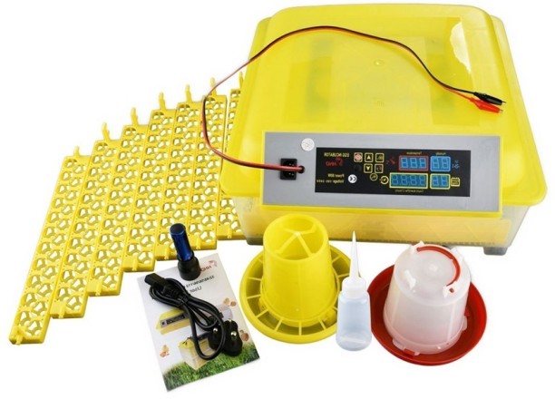 Pleysier 56 Chicken Egg and 154 Quail Egg Incubator Combo Set Pet Spa Kit