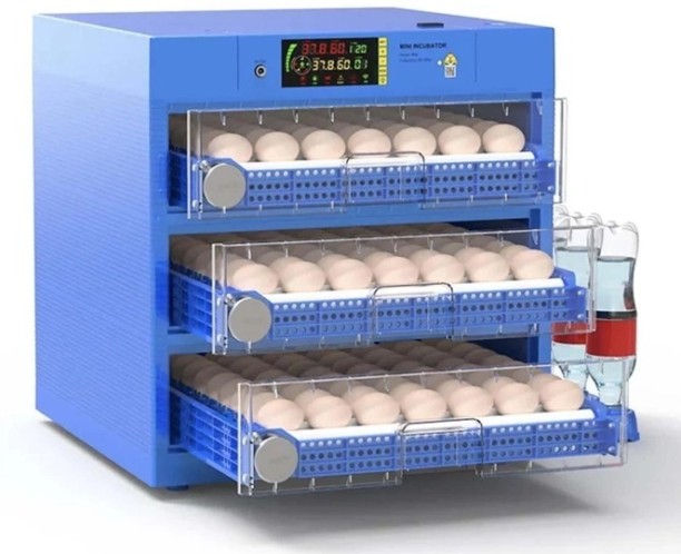 Pleysier WQ-N6 Blue Roller 192 Egg Incubator-Dual Power Pet Litter Tray Refill