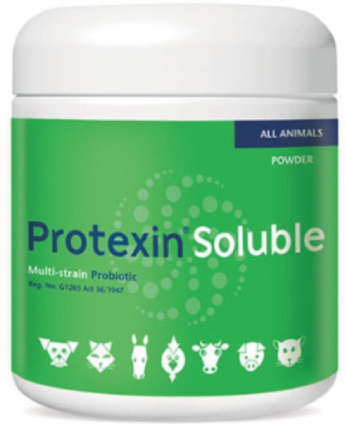 PROTEXIN SOLUBLE Dog Oral Medication Powder