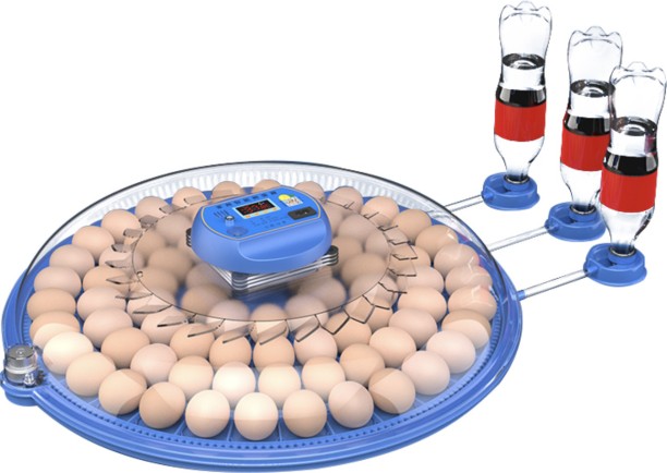 Delta Incubators Orbit Range: 80 Egg Automatic Incubator (Dual Voltage) Pet Spa Kit