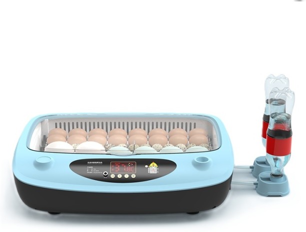 Pleysier WQ-H3 Roller 24 Egg Incubator -Dual Power Series Pet Spa Kit