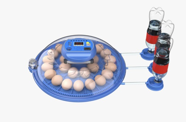 Delta Incubators Orbit Range: 26 Egg Automatic Incubator (Dual Voltage) Pet Spa Kit