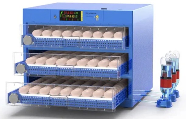 Delta Incubators Blue Diamond Range – 300 Egg Automatic Dual Voltage Egg Incubator Pet Spa Kit
