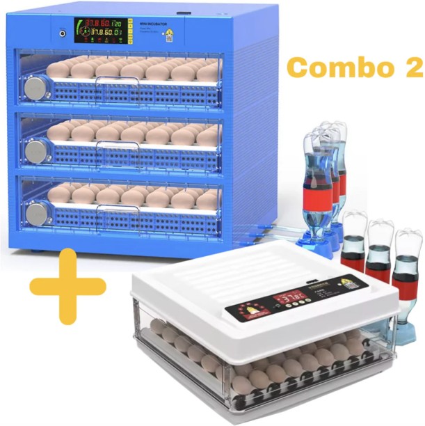 Delta Incubators 300 Egg Continuous Incubation Combo Deal - Automatic Egg Incubator and Egg Hatcher Pet Spa Kit