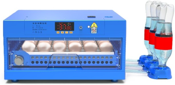 Pleysier WQ-N2 Blue Roller 36 Egg Incubator -Dual Power Pet Spa Kit