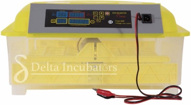 Delta Incubators 56 Egg Automatic Incubator – Dual Voltage Pet Spa Kit