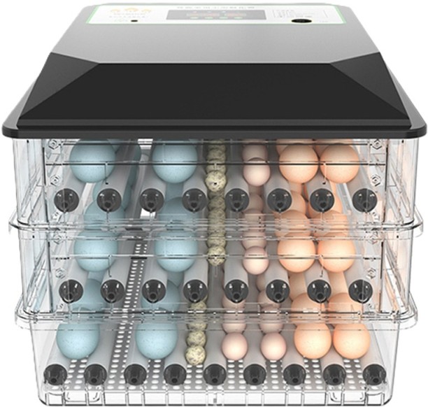 Pleysier WQ-P4 Black Roller 192 Egg Incubator -Dual Power Series Pet Spa Kit