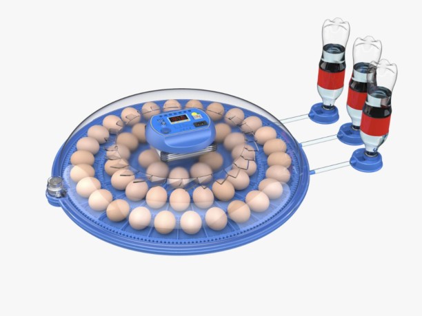 Delta Incubators Orbit Range: 52 Egg Automatic Incubator (Dual Voltage) Pet Spa Kit