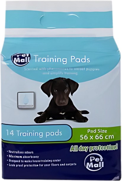 AZ Décor 072-020266-C Plastic Training Aid For Dog