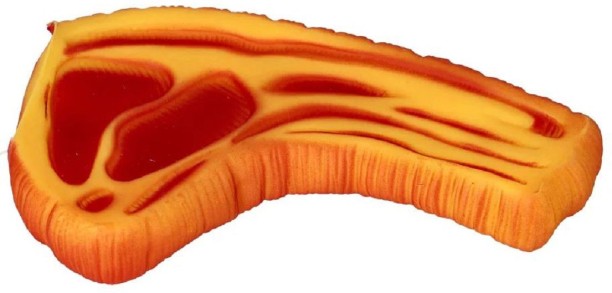 WINWAY YAS Squeaky Steak Dog Toy Rubber Squeaky Toy For Dog