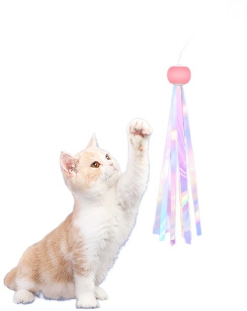 No brand 2025090412 Plastic Training Aid For Cat