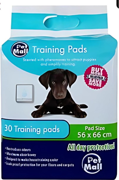 AZ Décor 072-020266-D Plastic Training Aid For Dog