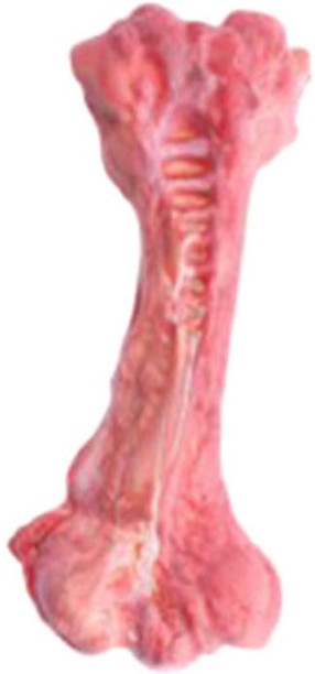 FocusPet Small 10cm Non-Toxic Teeth Cleaning Dog Chew-Resistant Toy Rubber Bone For Dog