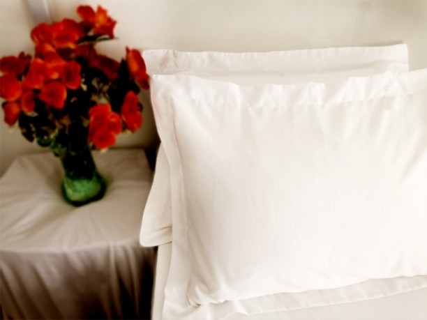 Rey's fine linen Plain Cotton Filled Flap Standard Size Pillow Protector