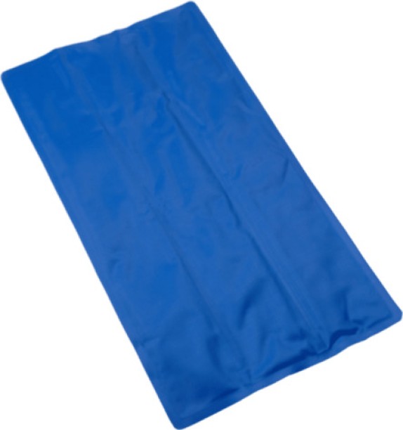 Generic Plain Plain Filled Flap Small Size Pillow Protector