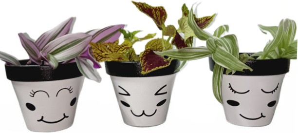 Pixels and Petals Pot Outdoor Plant Container Set