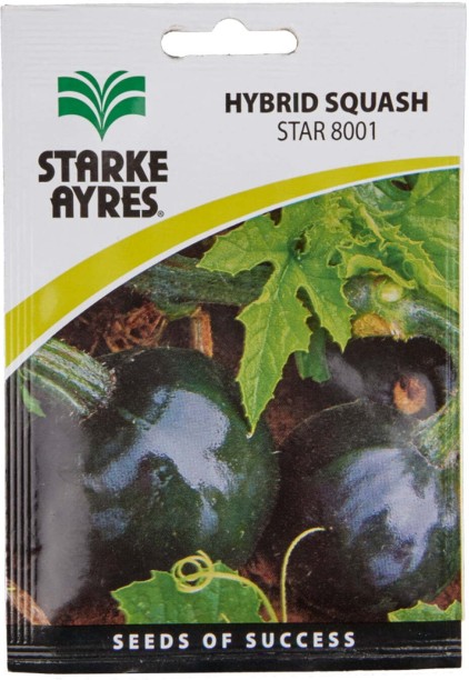Starke Ayres Squash Seed