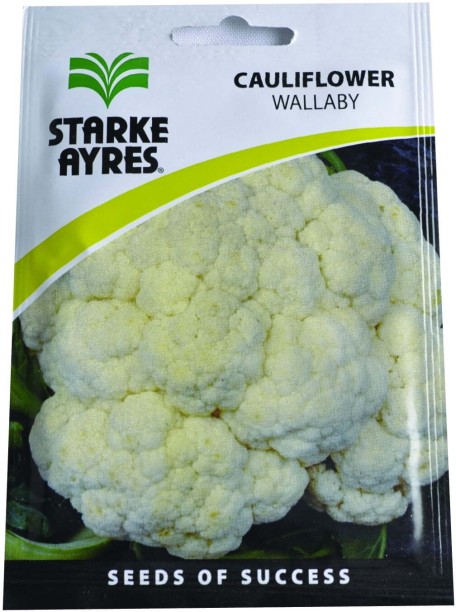 Starke Ayres Cauliflower Seed