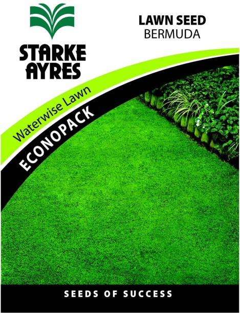 Starke Ayres Mint Seed