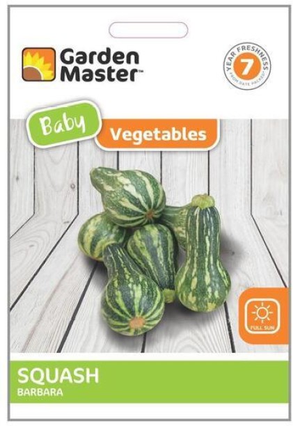 Garden Master Baby Barbara Squash Vegetable Seed