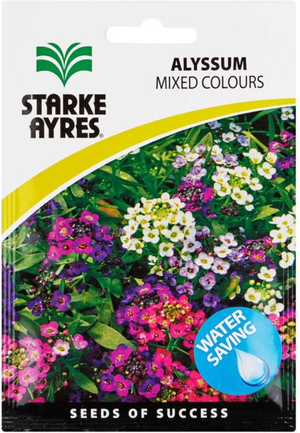 Starke Ayres Flower Seed