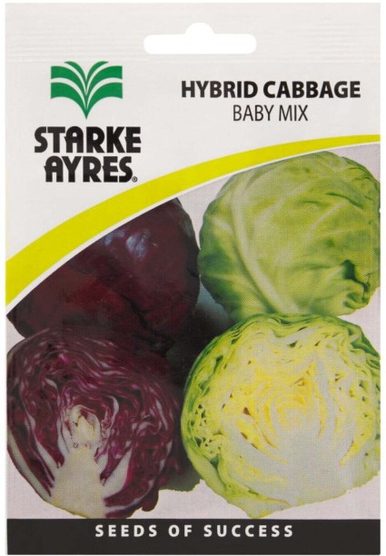 Starke Ayres Cabbage Seed